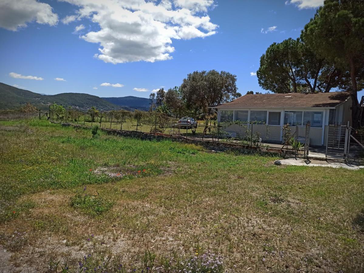 Kite Beach House Lefkada ภายนอก รูปภาพ
